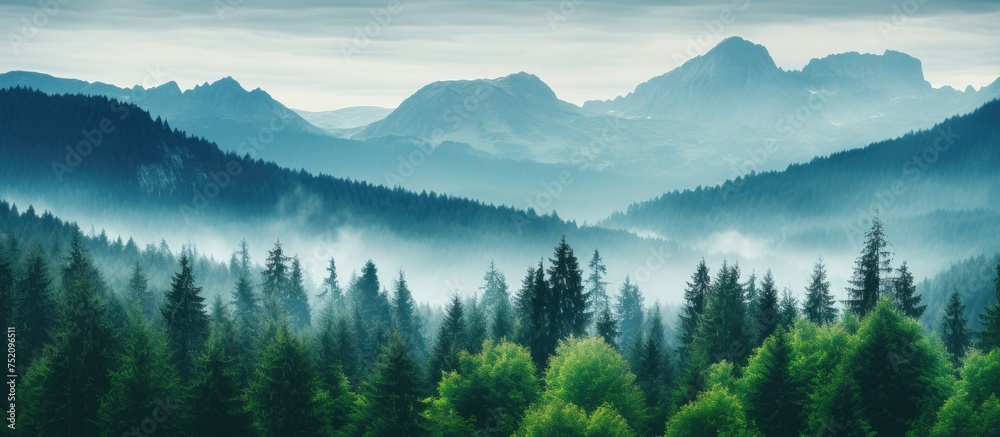 Majestic Greenery: Serene Forest Landscape with Towering Trees and Mountain Backdrop