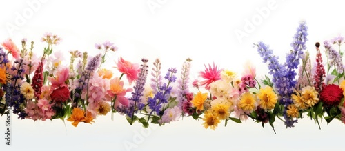 Vibrant Bouquet of Diverse Flowers Blooming Delicately on Pure White Background