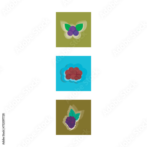 Set of 3 colorful berry (Blackberry, blueberry) icons, simple vector cartoon style illustration elements for product or web design.