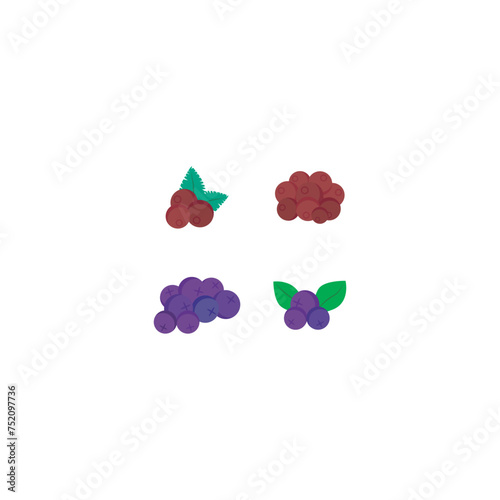 Set of 4 colorful berry (blueberry, blackberry) icons, simple vector cartoon style illustration elements for product or web design.