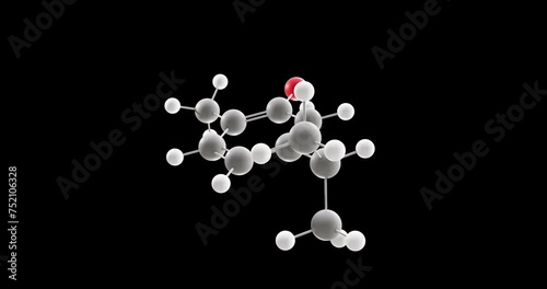 Carvacrol molecule, rotating 3D model of cymophenol, looped video on a black background photo