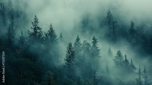 Enigmatic Reverie  Wallpaper Background Featuring a Fog-Covered Forest  Evoking Mystery and Intrigue