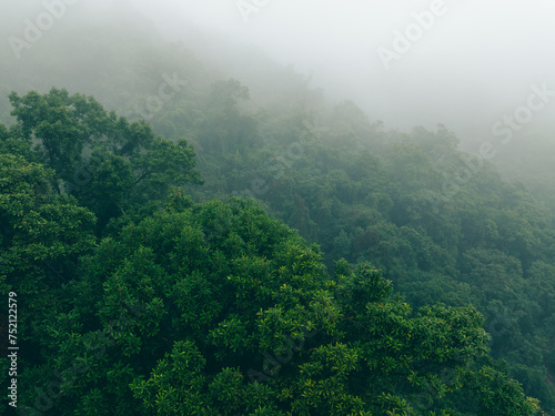 Aerial view of  foggy forest mountain landscape in spring