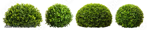 Set of green garden bushes, cut out photo