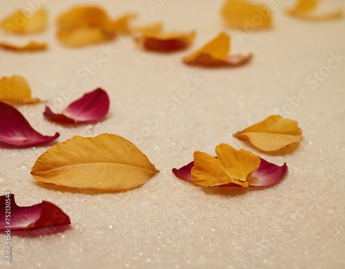 autumn leaves on the ground
blue background. pink background. light background. flower petals. dried fruits. nacre. romance. petals in foam. mother-of-pearl foam. reshaks. dried flowers. flowers. peta