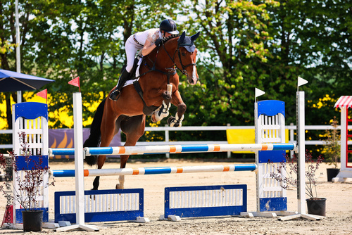 Horse show jumping horse with rider woman over the jump during a test in the show jumping competition.