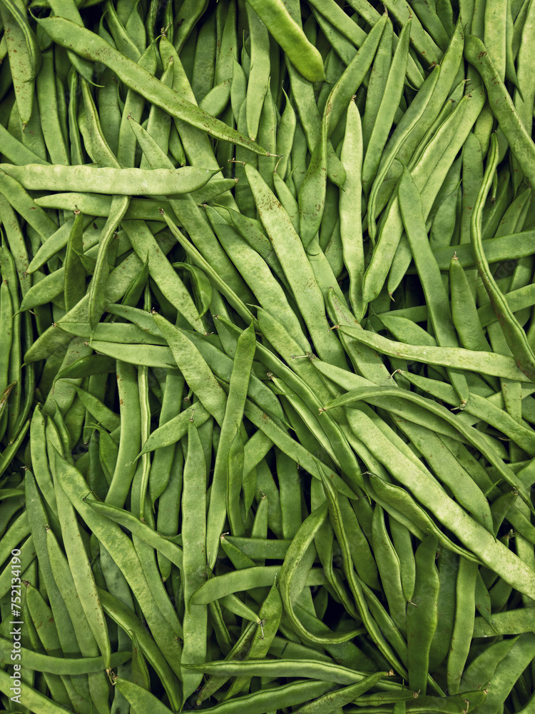 Full frame shot abundance of vibrant green bean pods
Full frame shot abundance of vibrant green bean pods