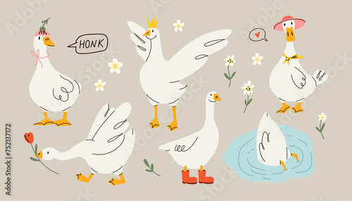 Funny goose. Adorable farm birds in different poses, cute characters and flowers. Childish print and poster, kids textile and nursery decor. Stickers set. Vector cartoon flat isolated illustration