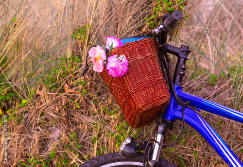 bicycle and basket with flowers in the woods (ID: 752138141)