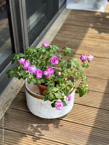 flowers growing in the small planter outside of a window