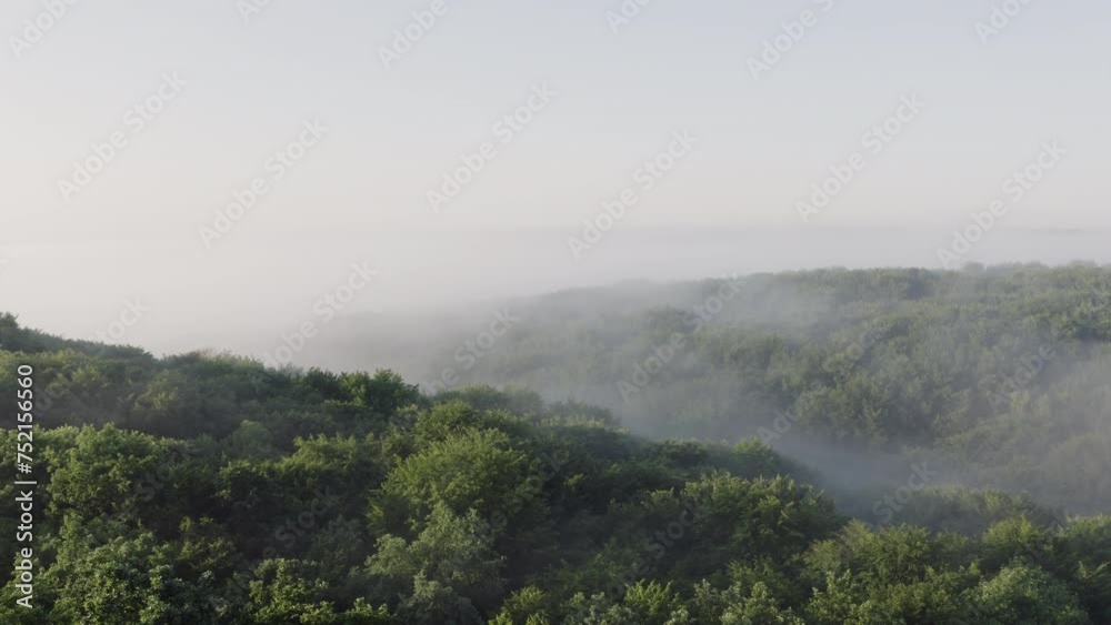 Ethereal Morning Fog Over Verdant Forest Hills in Aerial View Ethereal Morning Fog Over Verdant Forest Hills in Aerial View