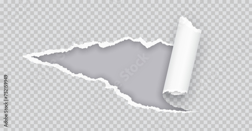 Torn paper rolled strip over grey realistic vector illustration. Teared page. Destroyed document sheet 3d object on transparent background