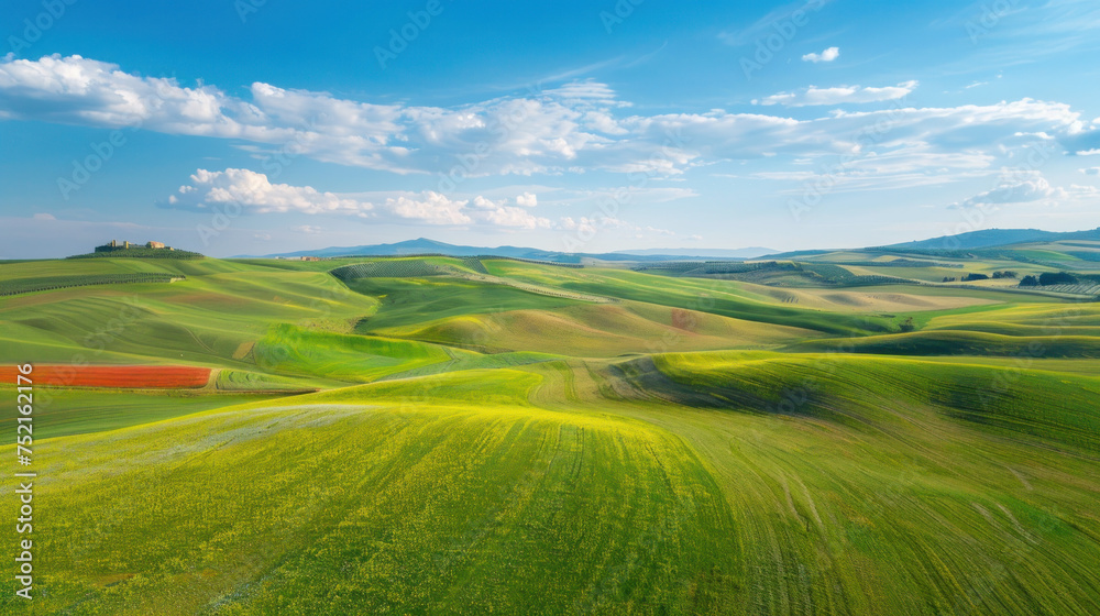 Obraz premium Field and blue sky landscape with grass and sky