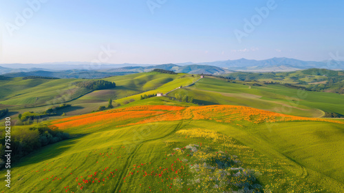 Field and blue sky landscape with grass and sky