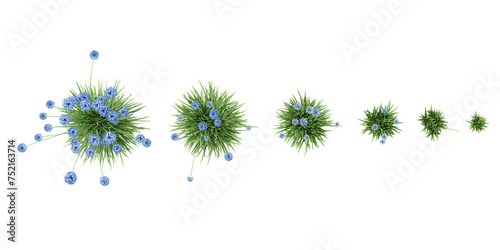 Blue oramental onion trees collection of top view isolated on transparent background
