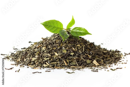Dry tea leaves and fresh green tea leafs isolated on white background