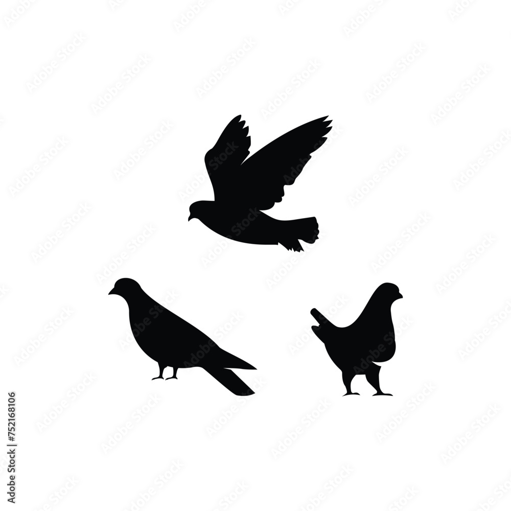 Obraz premium pigeon silhouette vector logo design