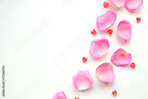 Pink rose petals on white background. Valentine's Day concept