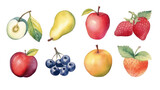 Fruit layout set isolated on white background, watercolor illustration. Apple, blueberry, lemon, orange, lime, kiwi, apricot, pear, grapes. Fruit icon clipart. Advertising, menu or package.