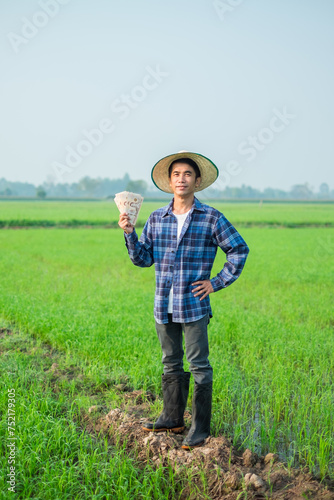 A farmer in a straw hat tends to their green rice field under a bright summer sky