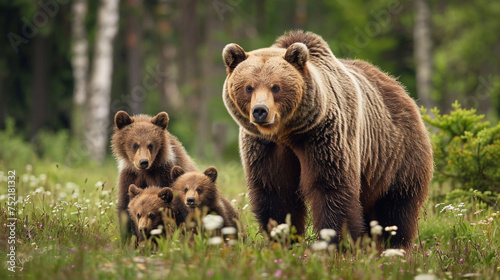 Bear family. 