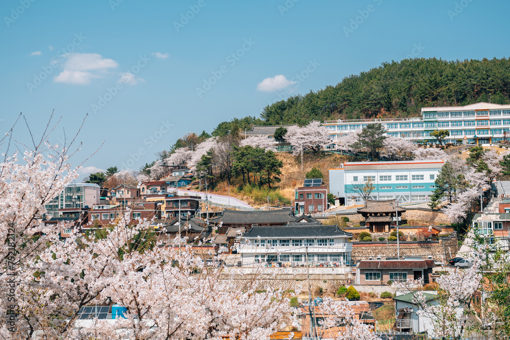 View of cherry blossoms village in Miryang, Korea