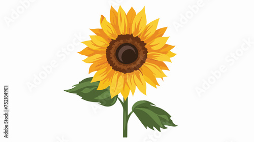 Sunflower isolated on white background. Vector illustartion