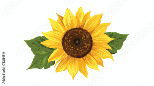 Sunflower isolated on white background. Vector illustartion