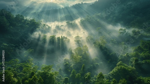 Sun Shining Through Clouds in Jungle