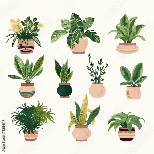 Vector set of potted plants for indoor gardens promoting green living and zero waste decor practices