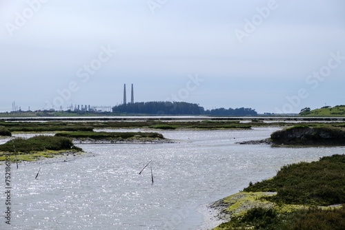 Scenic landscape of Elkhorn Slough Reserve, CA, USA