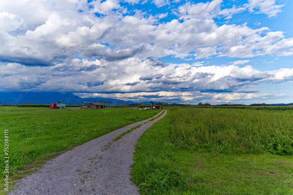 Scenic view of rural landscape with gravel road at village of Zabnica on a blue cloudy summer evening. Photo taken August 10th, 2023, Zabnica, Kranj, Slovenia. Scenic view of rural landscape with gravel road at village of Zabnica on a blue cloudy summer evening. Photo taken August 10th, 2023, Zabnica, Kranj, Slovenia.