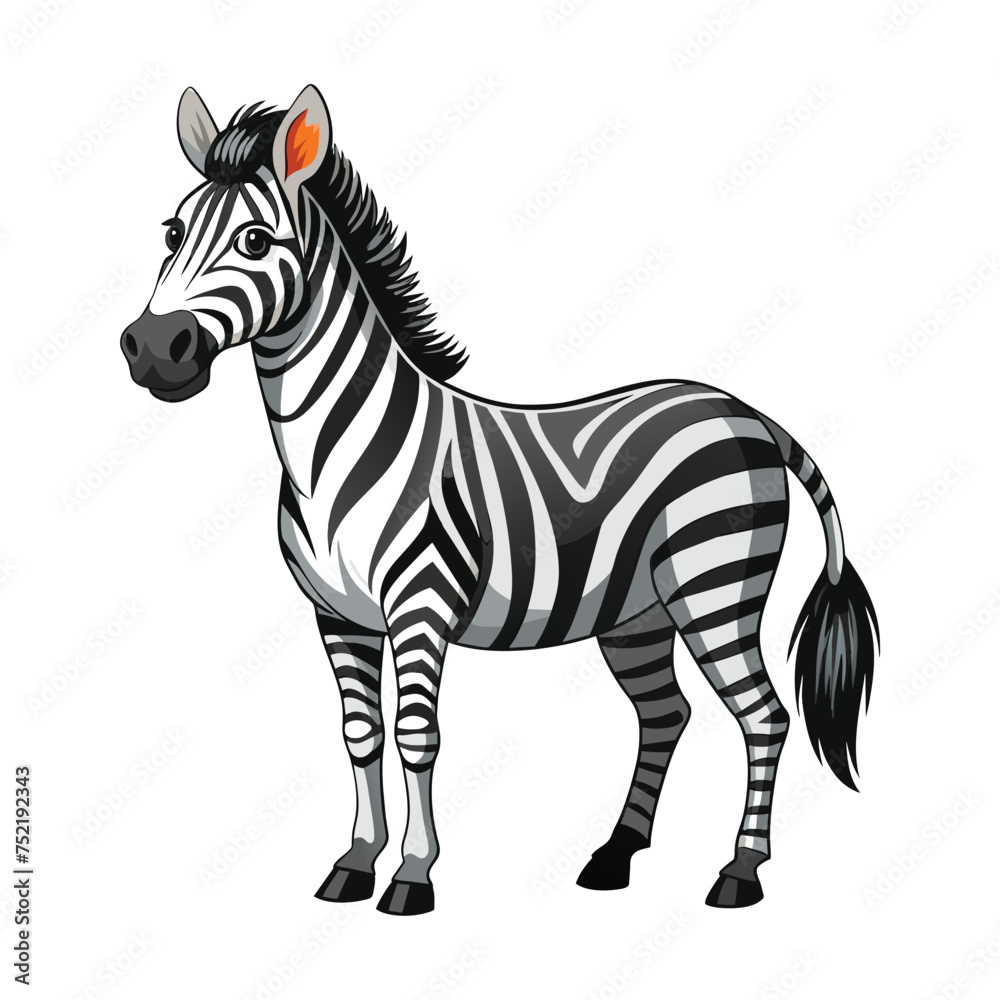 Obraz premium Zebra illustration on White Background