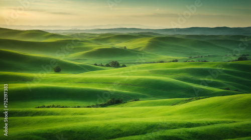 Serene green rolling hills at sunset