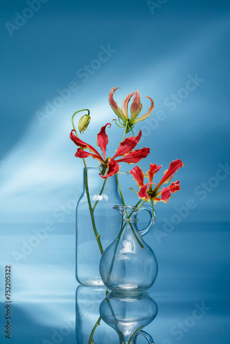 Flame lily flowers  or glory lily in a vase and jug on blue mirror background. Flame lily (Gloriosa superba) flowers.  Still life photography of red glory lilies in a glass vase  with reflection.