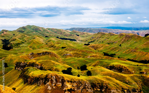 landscape in new Zealand's north island, looking like a painting