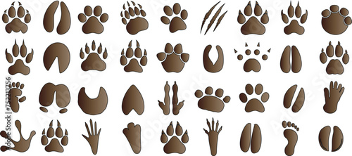 Animal paw print collection