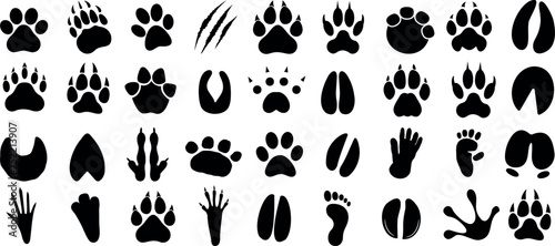 animal paw print Vector illustration of diverse animal and human tracks, ideal for educational content, wildlife projects. Clear, black paw silhouette on a white background