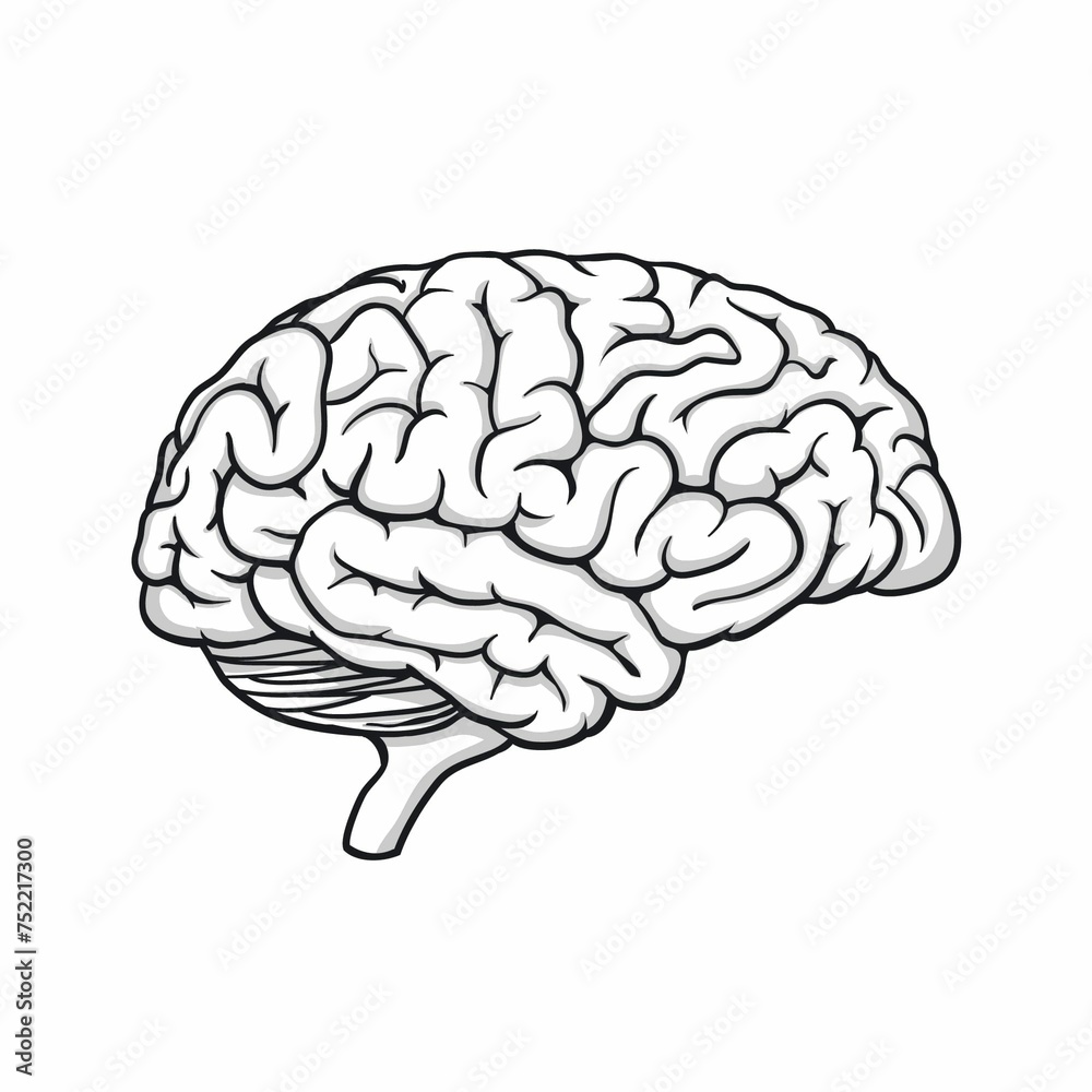 Hand Drawn Brain Drawing Illustration Hand Drawn Brain Drawing Illustration