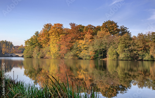 autumn in the park