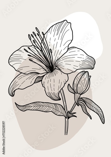 Minimalistisches Lilien Wandbild | Abstraktes Lilienblüte Poster | Boho Lineart photo