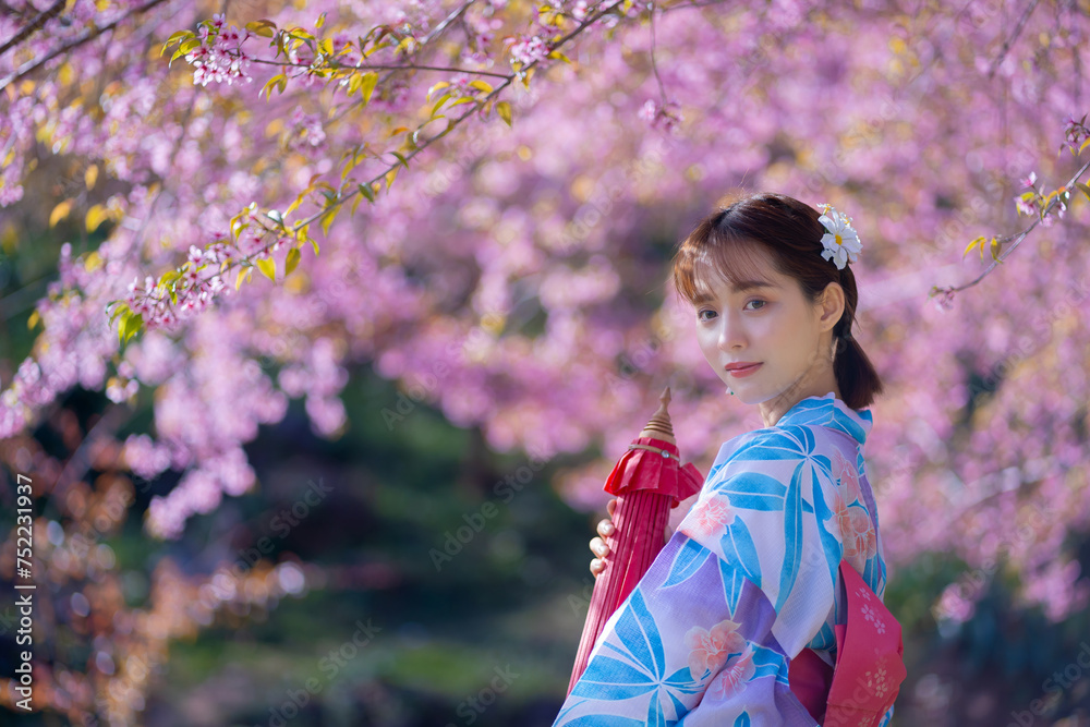 Pretty Asian woman in a Yukata dress. Portrait fashion girl wearing a traditional Japanese kimono or Yukata dress holding a red umbrella with sakura flowers or cherry blossoms blooming in the park. Pretty Asian woman in a Yukata dress. Portrait fashion girl wearing a traditional Japanese kimono or Yukata dress holding a red umbrella with sakura flowers or cherry blossoms blooming in the park.