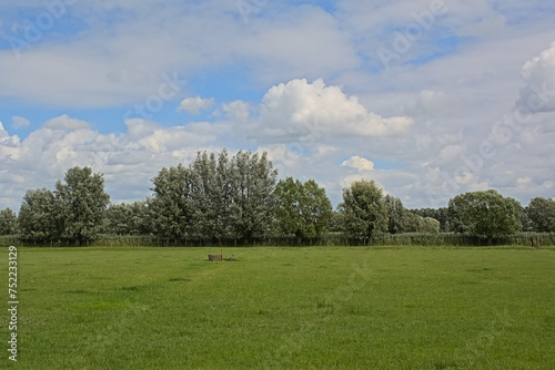 Meadows with poplar and willow trees in Assebroekse Meersen nature reserve, Bruges, Flanders, Belgium