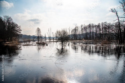 Flooded forests and fields, flooding in the natural landscape. photo