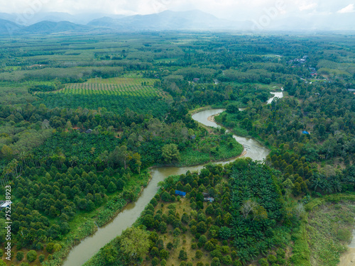 Aerial view tropical rainforest green tree ecology system with riverside