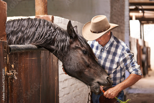 Man, farmer and feeding a horse in stable for care with bonding, support and help in Texas. Mature, male person and livestock in ranch with domestic animal in countryside for agriculture work. photo