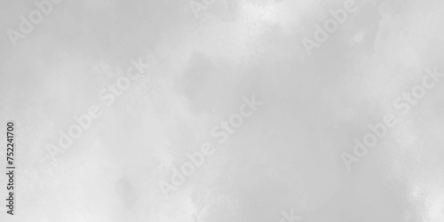 Abstract grunge grey shades gradient watercolor background. Beautiful abstract color white texture background. Beautiful sky background and wallpaper. © Shahadath