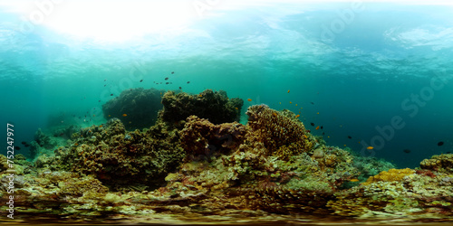 Underwater life scene. Colorful tropical fish and corals. Equirectangular panoramic.