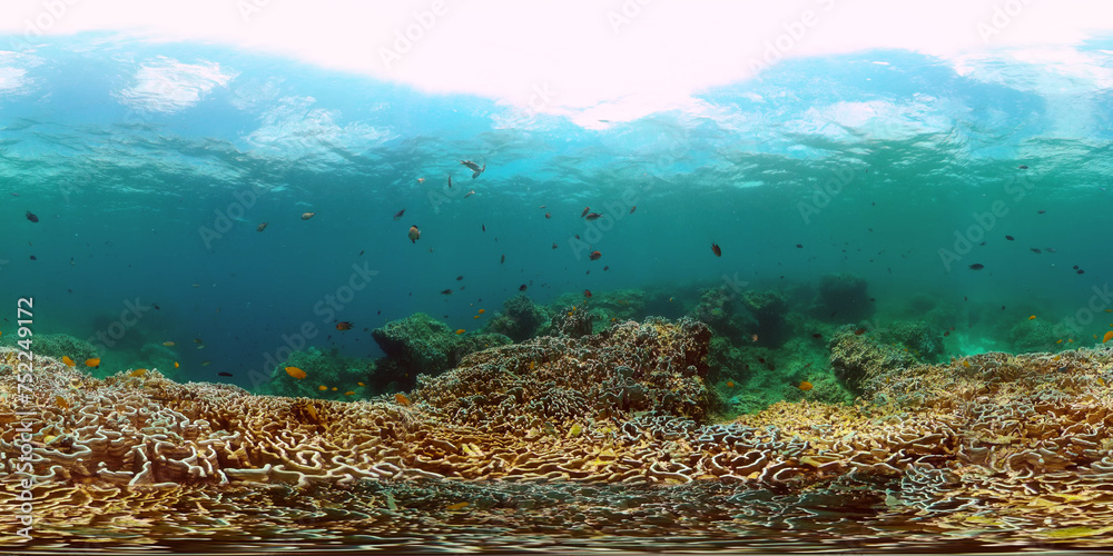 Coral garden with underwater vibrant fish. Monoscopic image.