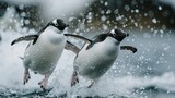 Group of Penguins Splashing in Water